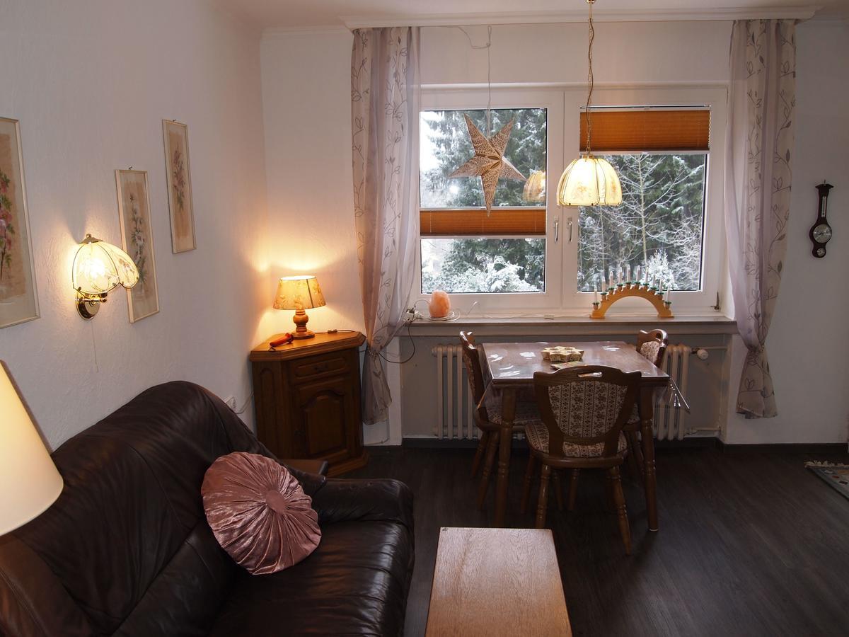 Ferienwohnung Schueler-Wolke 2 Sankt Andreasberg Dış mekan fotoğraf